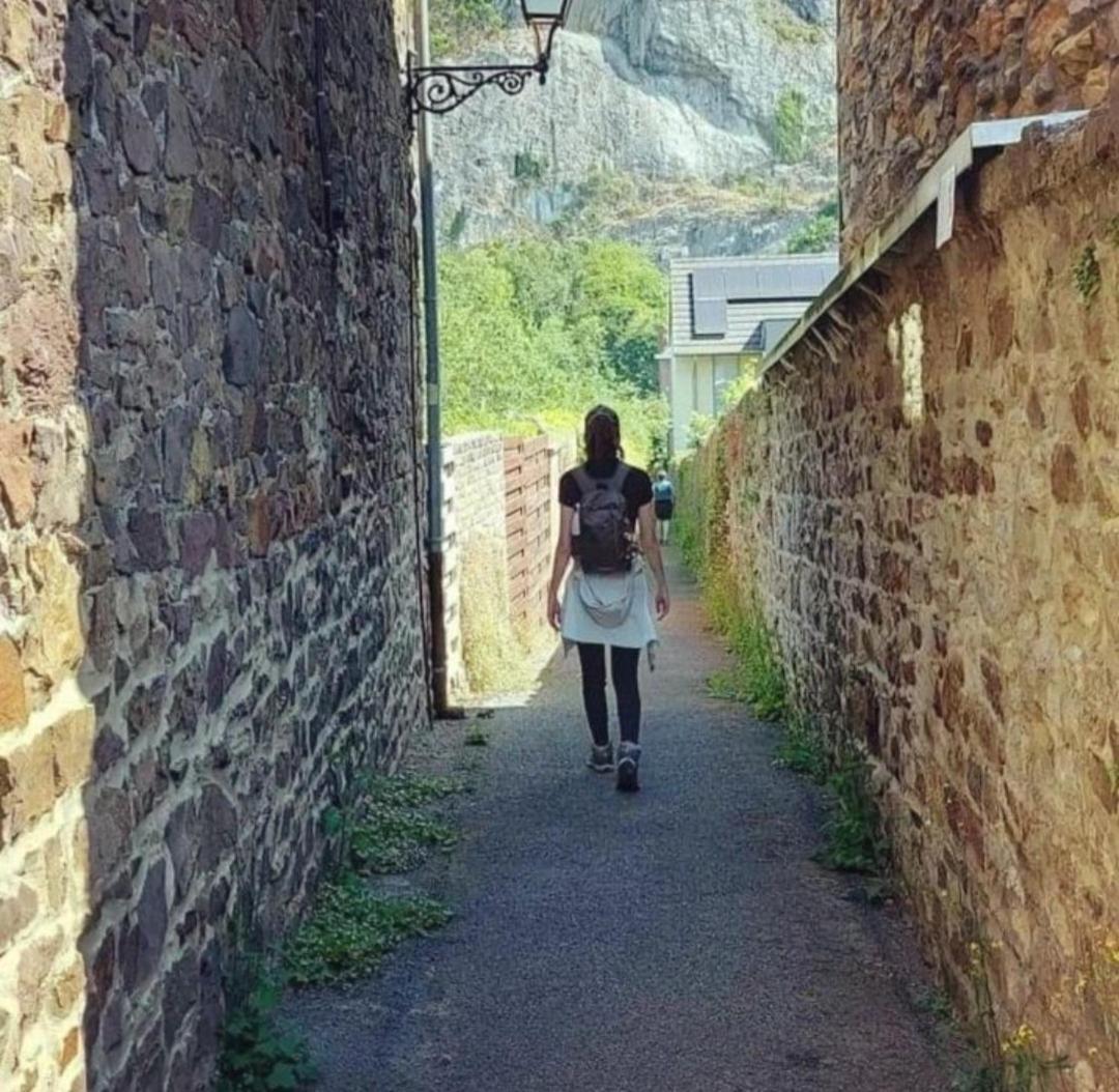 Escale Chambre D'Hotes Au Coeur Du Vieux Profondeville Entre Namur Et Dinant Exterior photo